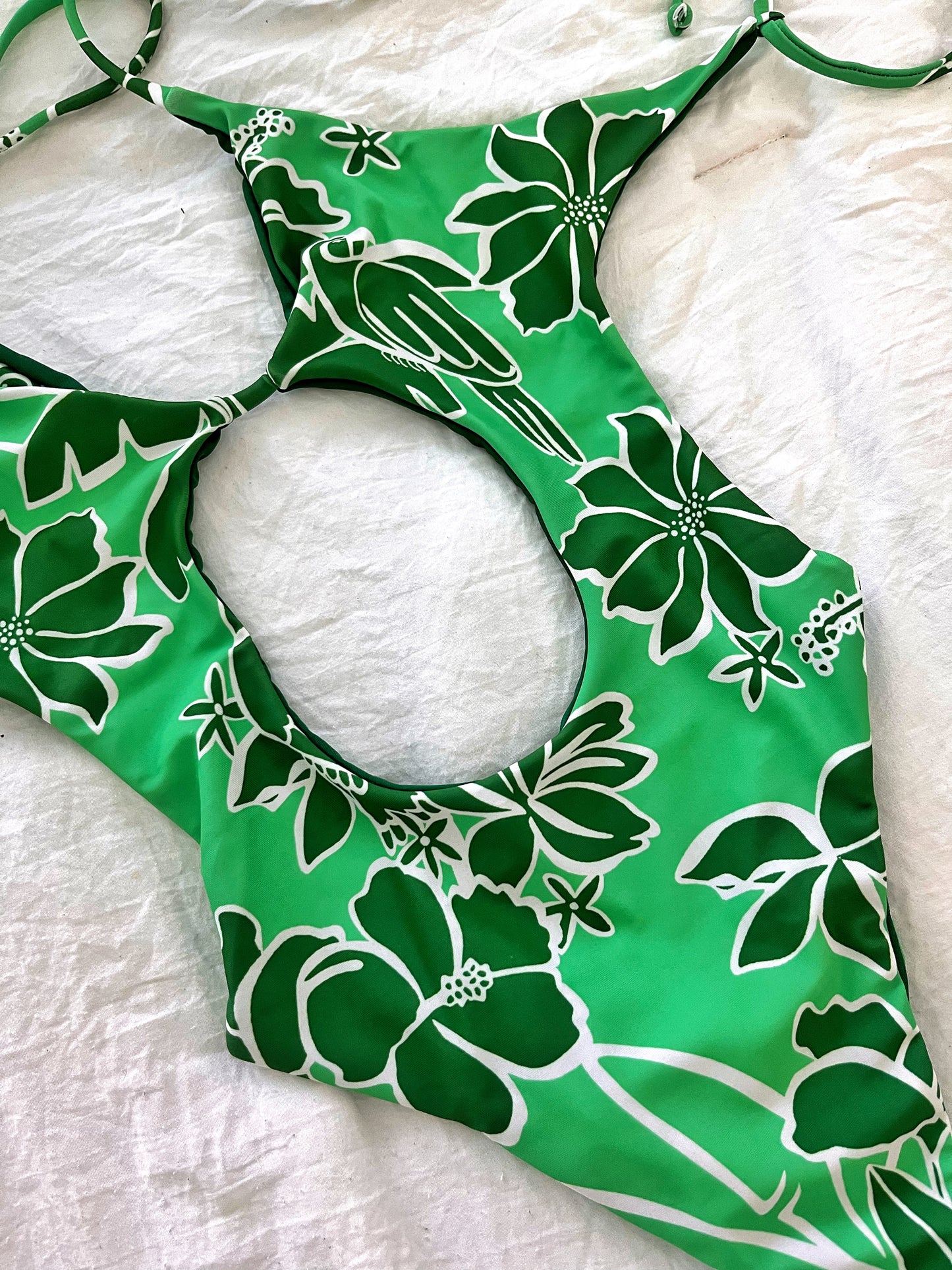 ~Tropical Amazona~